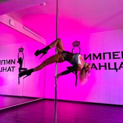 poledance-poleart-5484482024 (33)