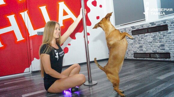 dog-and-dance-88-14