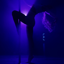 0920204-1-poledance (4)