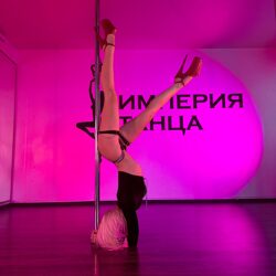 poledance-poleart-5484482024 (15)