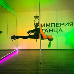 poledance-poleart-5484482024 (13)