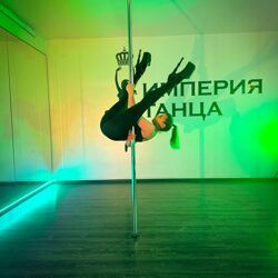 poledance-poleart-5484482024 (14)