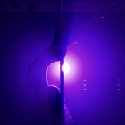 0920204-1-poledance (1)