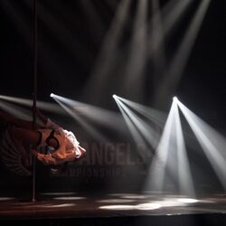 Чемпионат Pole Angels 2020 - Империя Танца - Фотоотчет - Exotic Pole Dance и Pole Art