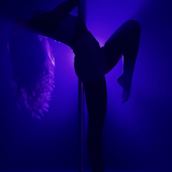 0920204-1-poledance (3)